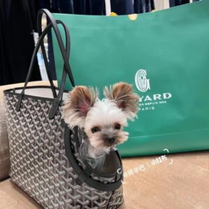 BOLSA GOYARD SAINT LOUIS PET